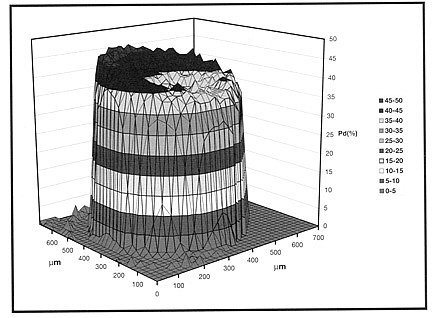 egg_05.jpg (51932 bytes)