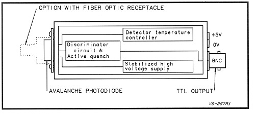 egg_10.jpg (37729 bytes)